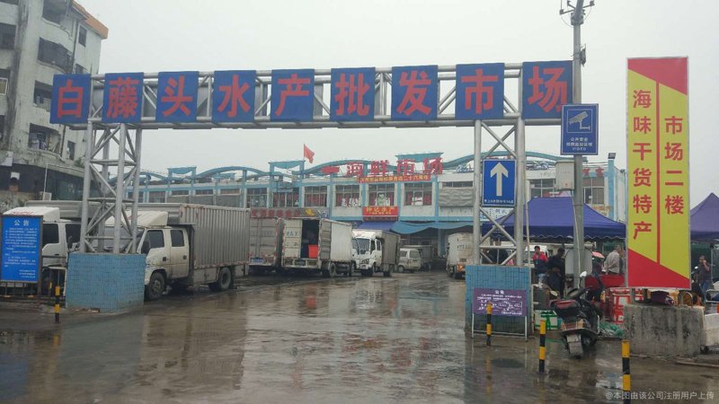 水产行业新动态：刘育芳水产引领潮流