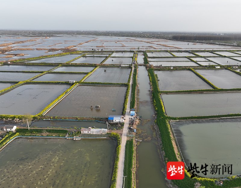 螃蟹养殖新技术引领农业新潮流