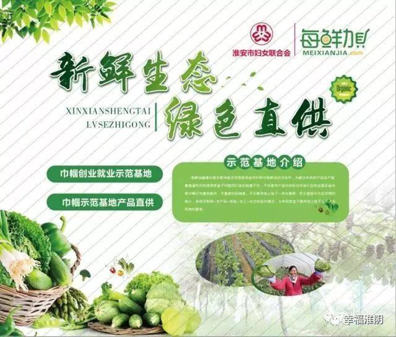 泗洪水产养殖产业现状与展望